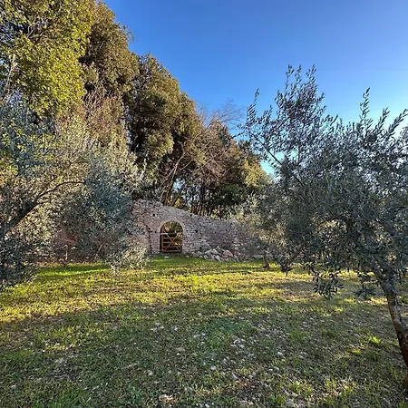Sant'onofrio Holiday home *