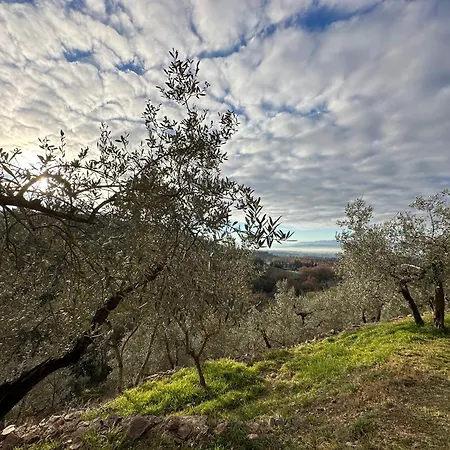Sant'onofrio Spello
