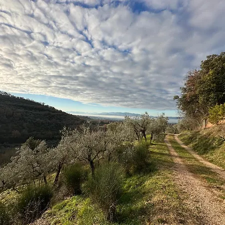 Sant'onofrio Holiday home