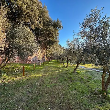 Sant'onofrio * Spello