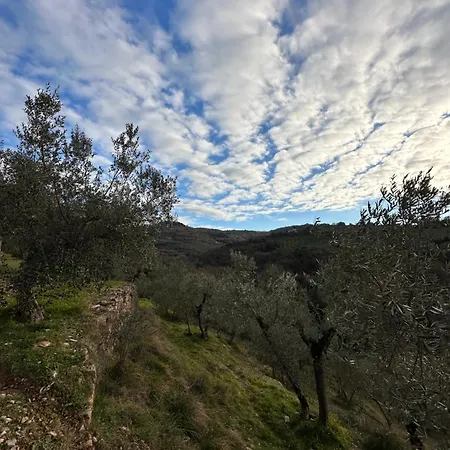 Sant'onofrio Spello